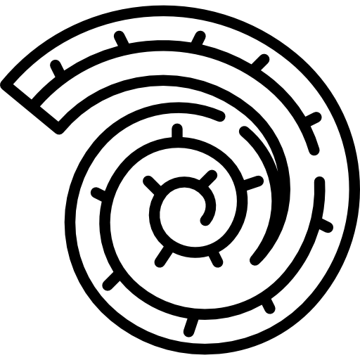 nautilo Special Lineal icono