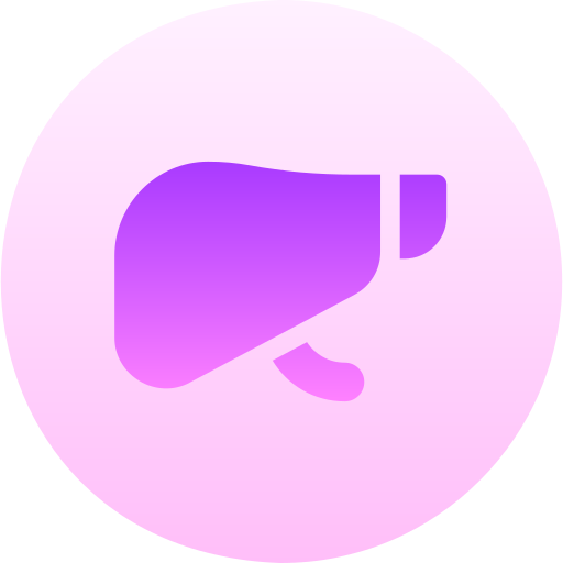 hígado Basic Gradient Circular icono