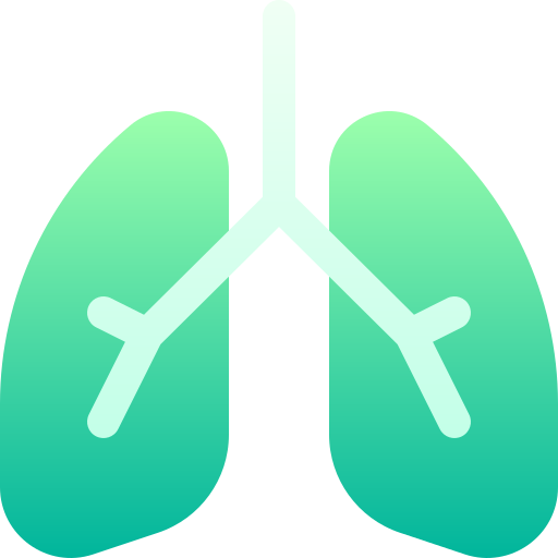 pulmones Basic Gradient Gradient icono