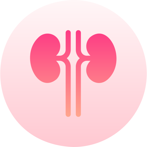 腎臓 Basic Gradient Circular icon