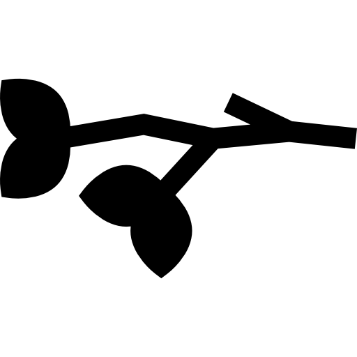 ramo Basic Straight Filled icona
