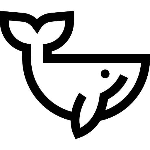 ballena Basic Straight Lineal icono