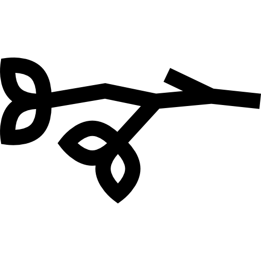ブランチ Basic Straight Lineal icon