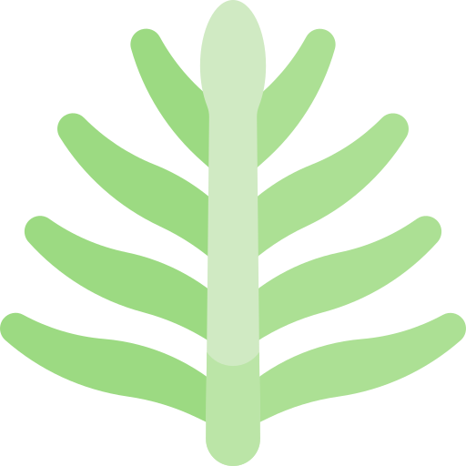 palmblatt Kawaii Flat icon