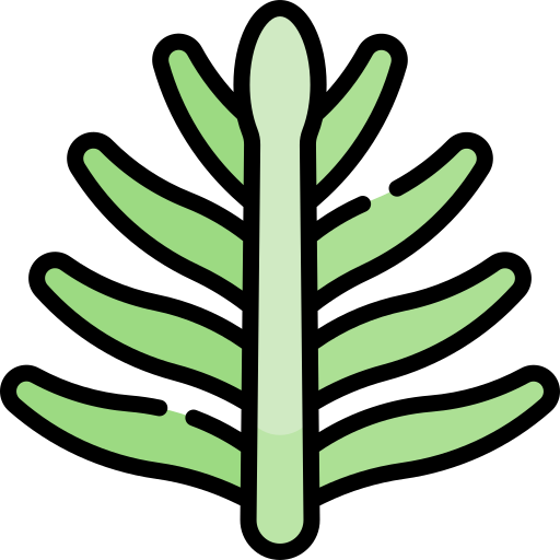 liść palmowy Kawaii Lineal color ikona