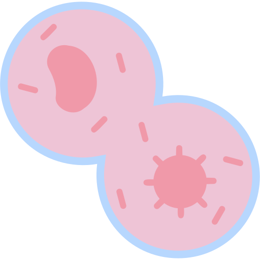 Mitosis Generic Flat icon