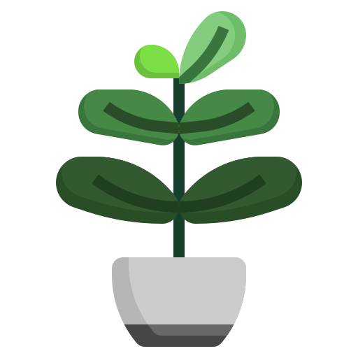 Ficus Surang Flat icon
