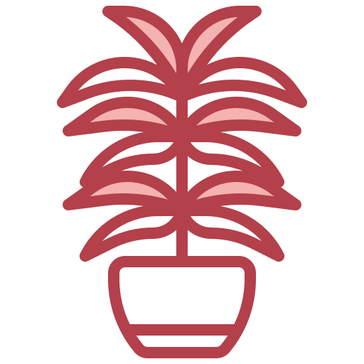 palmera Surang Red icono