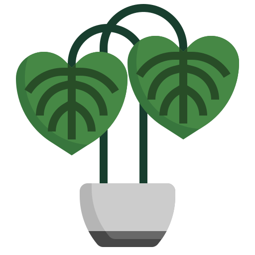 filodendron Surang Flat ikona