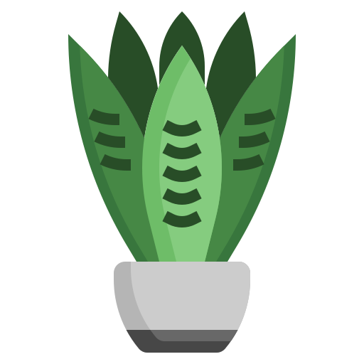 Snake plant Surang Flat icon