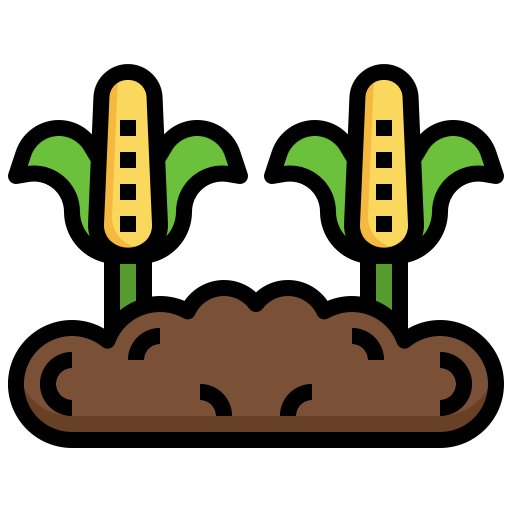 Corn Surang Lineal Color icon