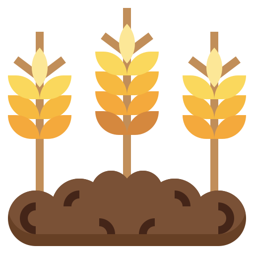 Пшеница Surang Flat иконка