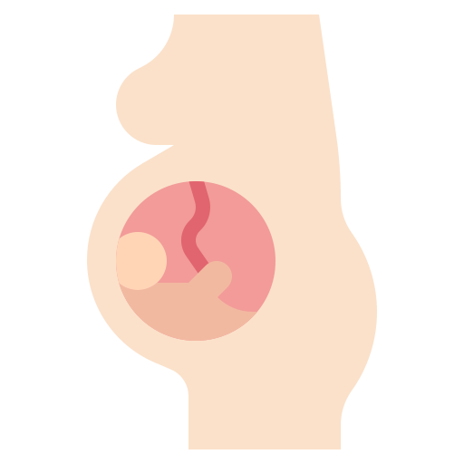 schwangerschaft Surang Flat icon