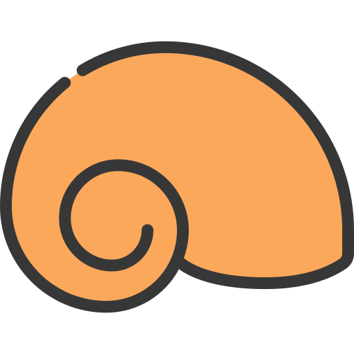 Sea snail Generic Outline Color icon