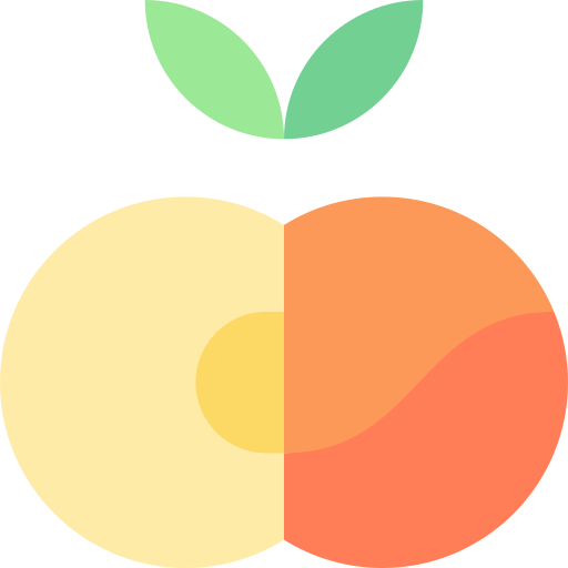 Saturn peach Basic Straight Flat icon