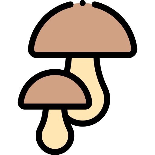 champignon Detailed Rounded Lineal color Icône
