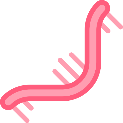 rna Detailed color Lineal color icona