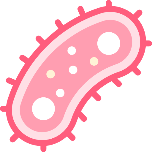 bactérias Detailed color Lineal color Ícone