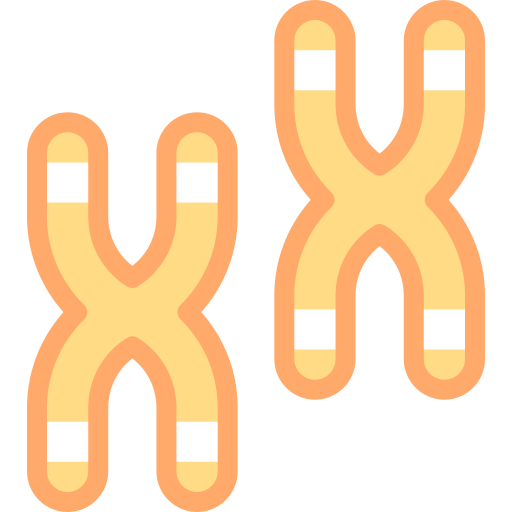 Chromosome Detailed color Lineal color icon