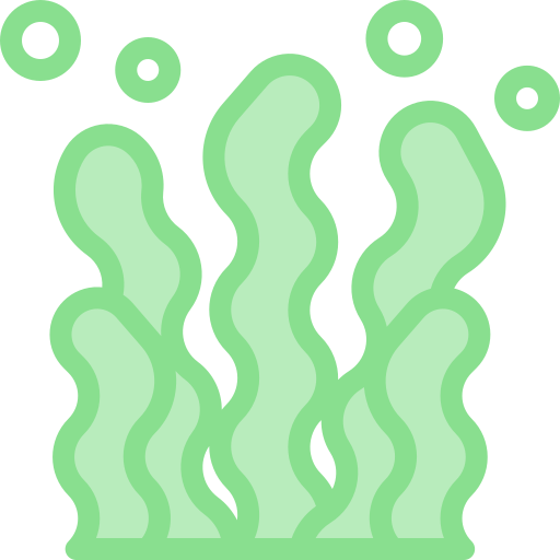 海藻 Detailed color Lineal color icon