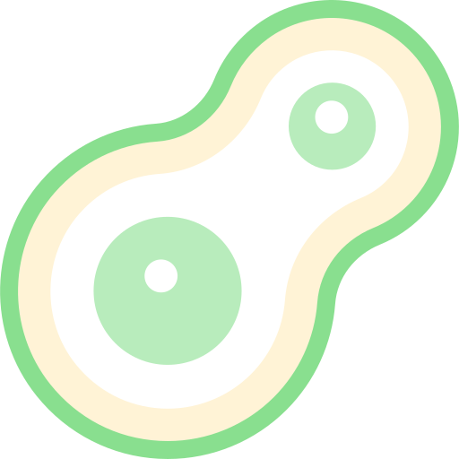 mitosis Detailed color Lineal color icono