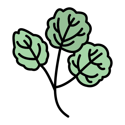 Watercress Generic Outline Color icon