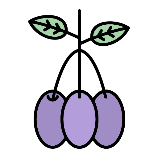 Java plum Generic Outline Color icon