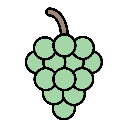 Grapes Generic Outline Color icon
