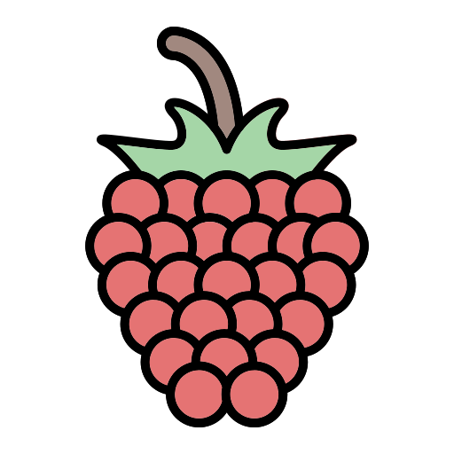 ラズベリー Generic Outline Color icon
