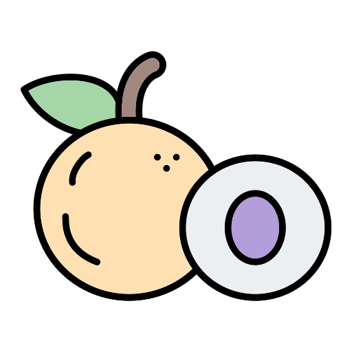 Longan Generic Outline Color icon