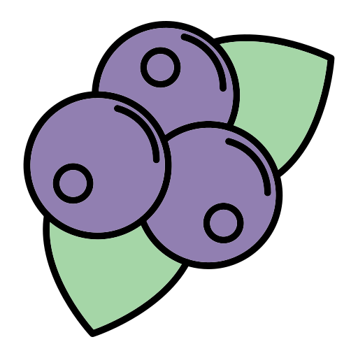 brombeere Generic Outline Color icon