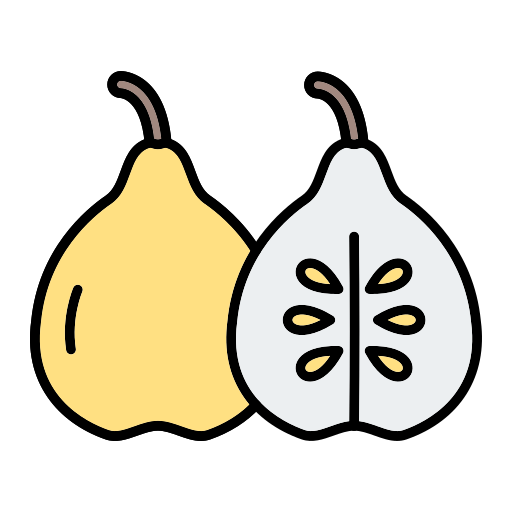 Quince Generic Outline Color icon
