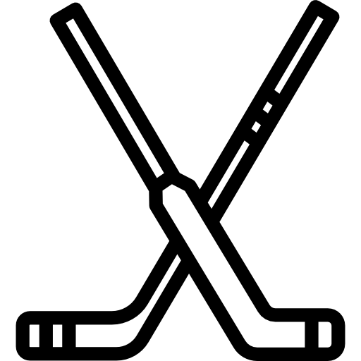 crosses de hockey  Icône