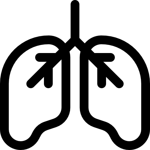 polmoni Basic Rounded Lineal icona