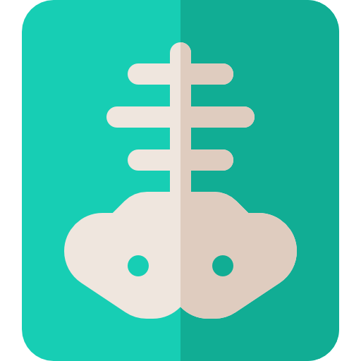 X ray Basic Rounded Flat icon