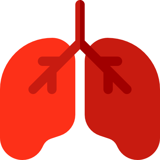 pulmões Basic Rounded Flat Ícone