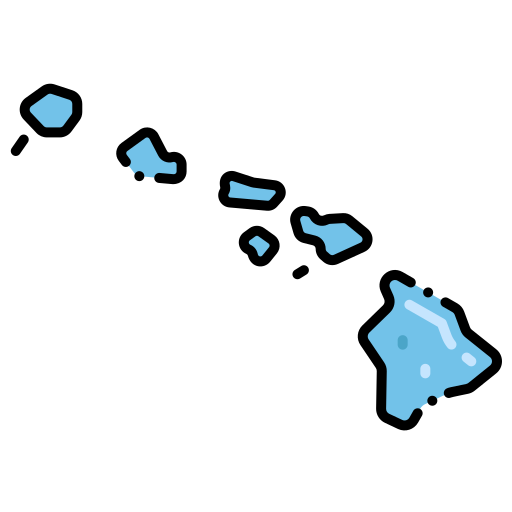 Гавайи Flaticons Lineal Color иконка