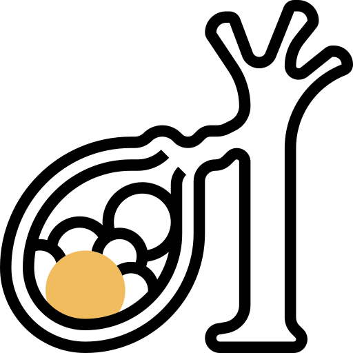胆嚢 Meticulous Yellow shadow icon