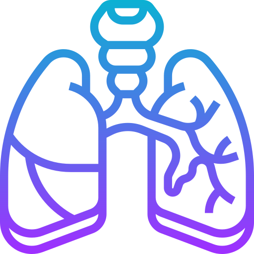pulmones Meticulous Gradient icono