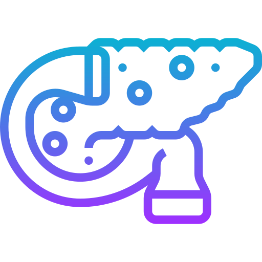 Pancreas Meticulous Gradient icon