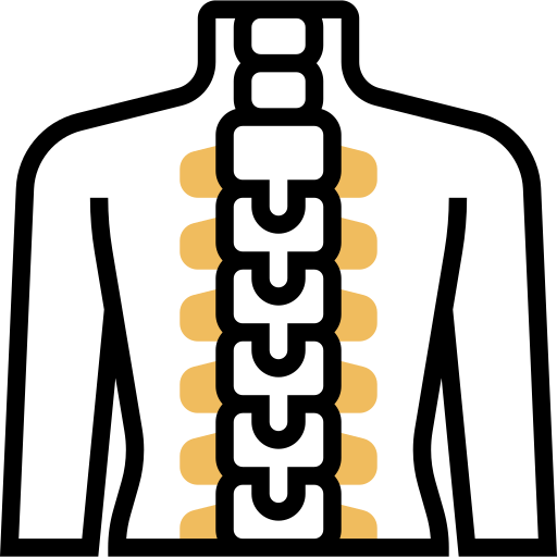 medula espinhal Meticulous Yellow shadow Ícone
