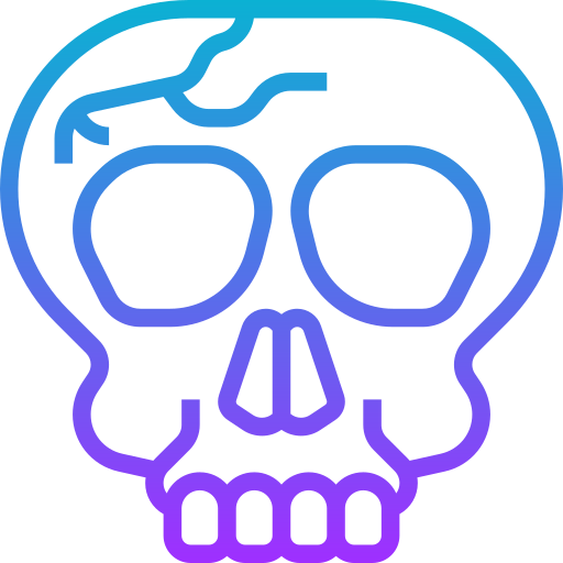 cráneo Meticulous Gradient icono