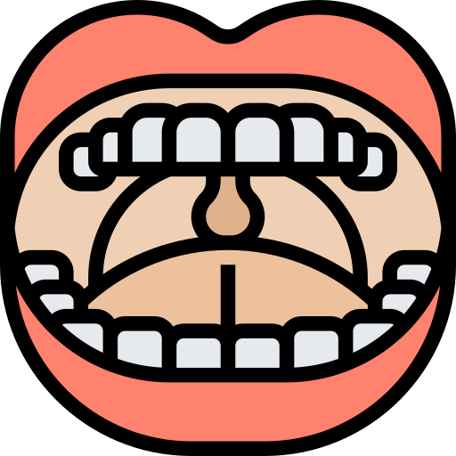 dientes Meticulous Lineal Color icono