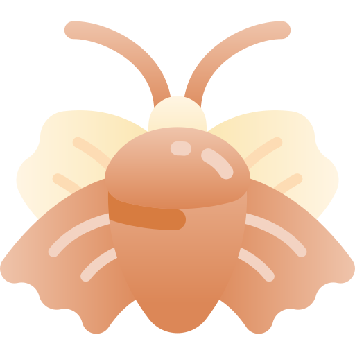 Moth Kawaii Star Gradient icon