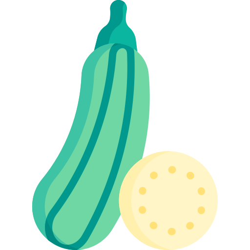 zucchini Special Flat icon