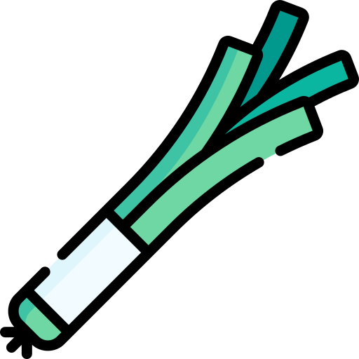 Leek Special Lineal color icon