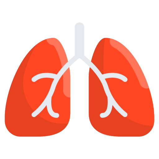 Lungs Generic Flat icon