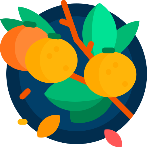 mandarijn Detailed Flat Circular Flat icoon