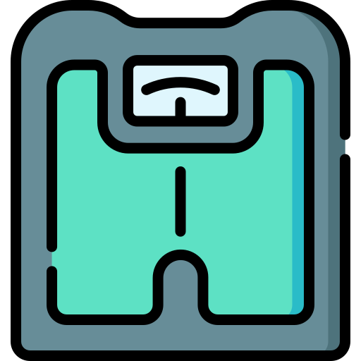 Weight scale Special Lineal color icon