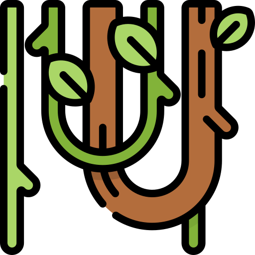 ブドウの木 Special Lineal color icon